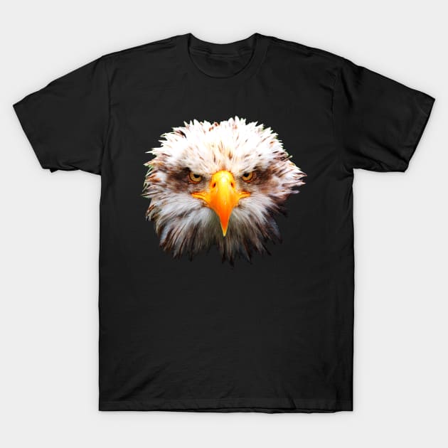 Eagle T-Shirt by the Mad Artist